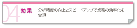 効果：分析精度の向上とスピードアップで業務の効率化を実現