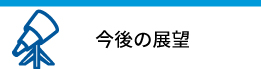 今後の展望